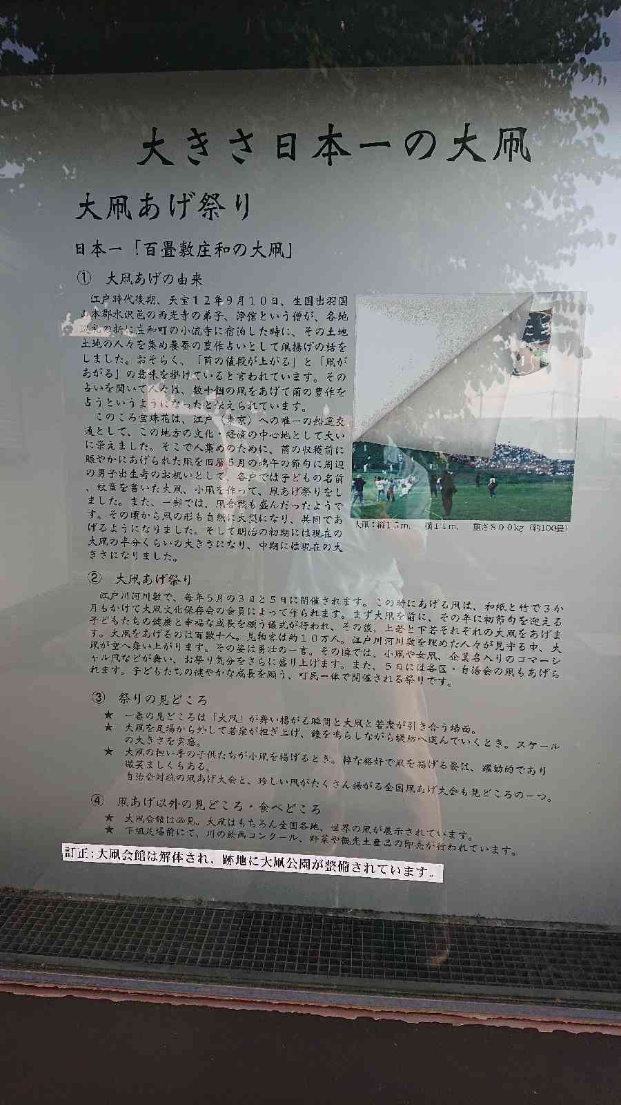 投稿された画像