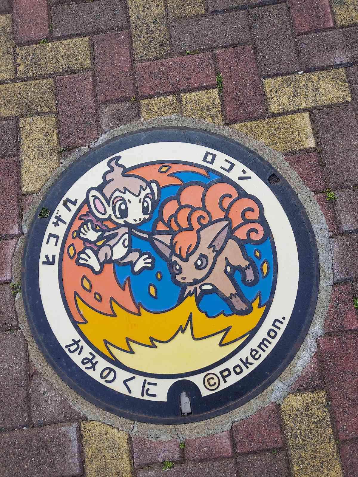 投稿された画像