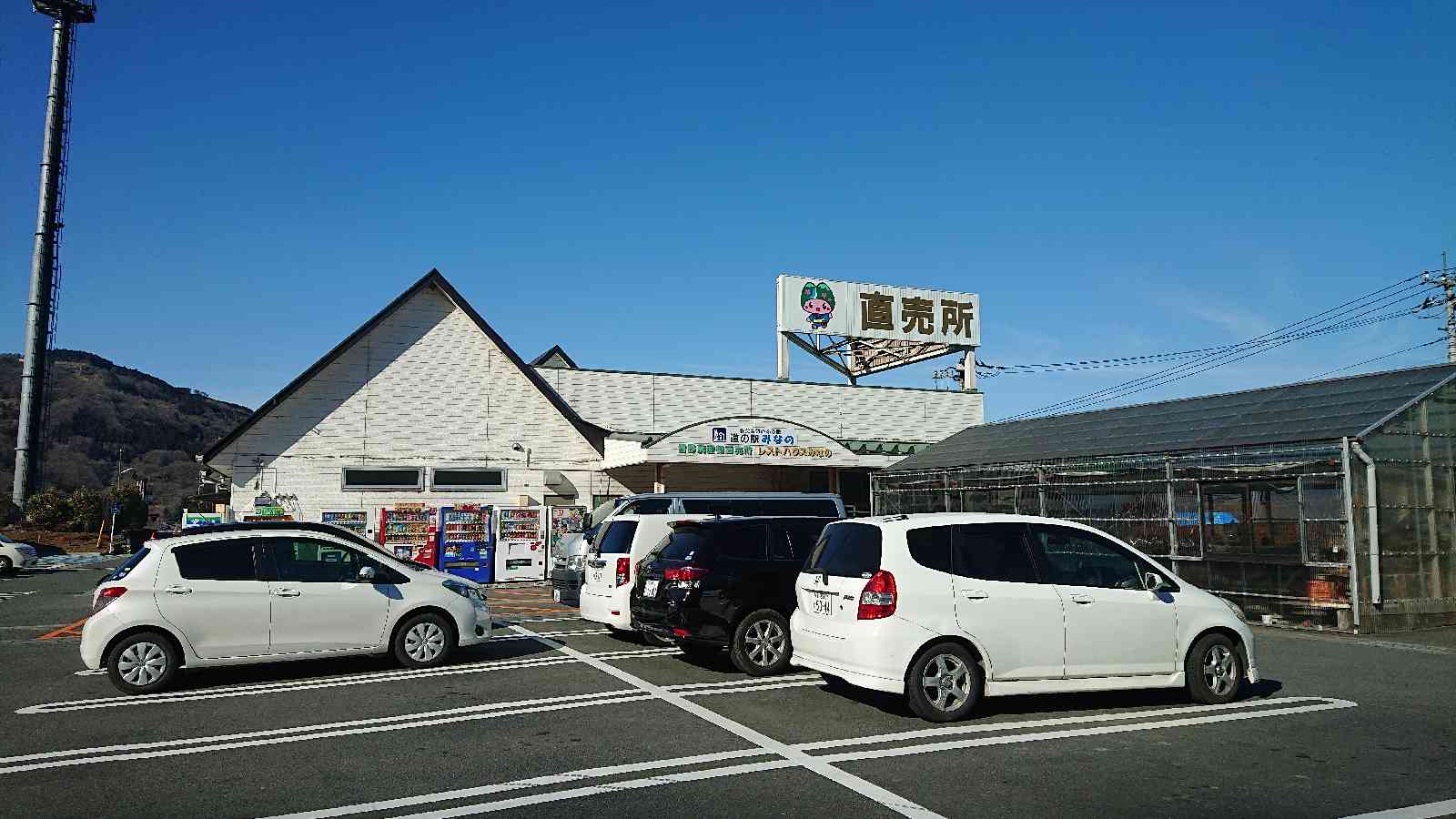 投稿された画像