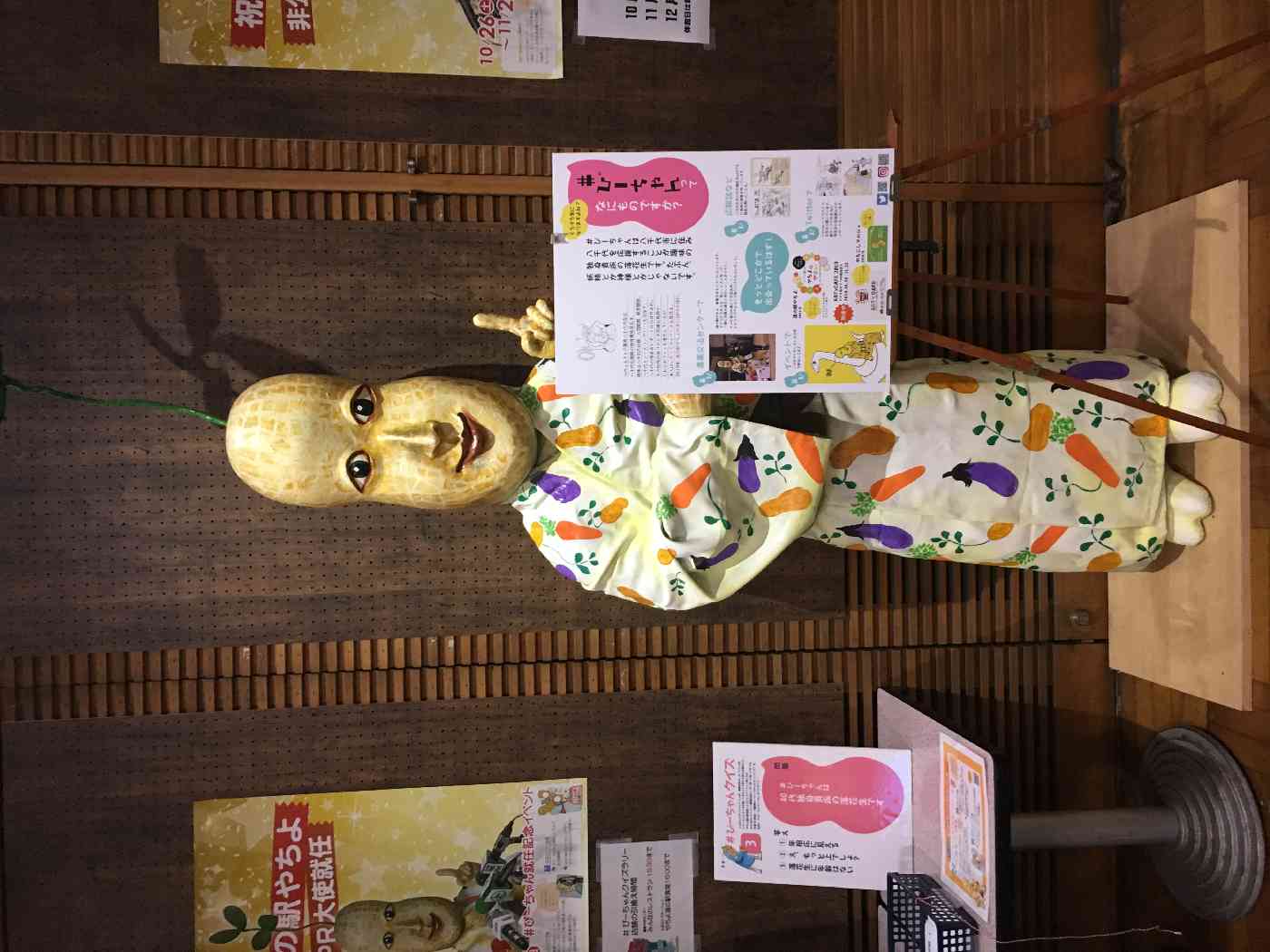 投稿された画像