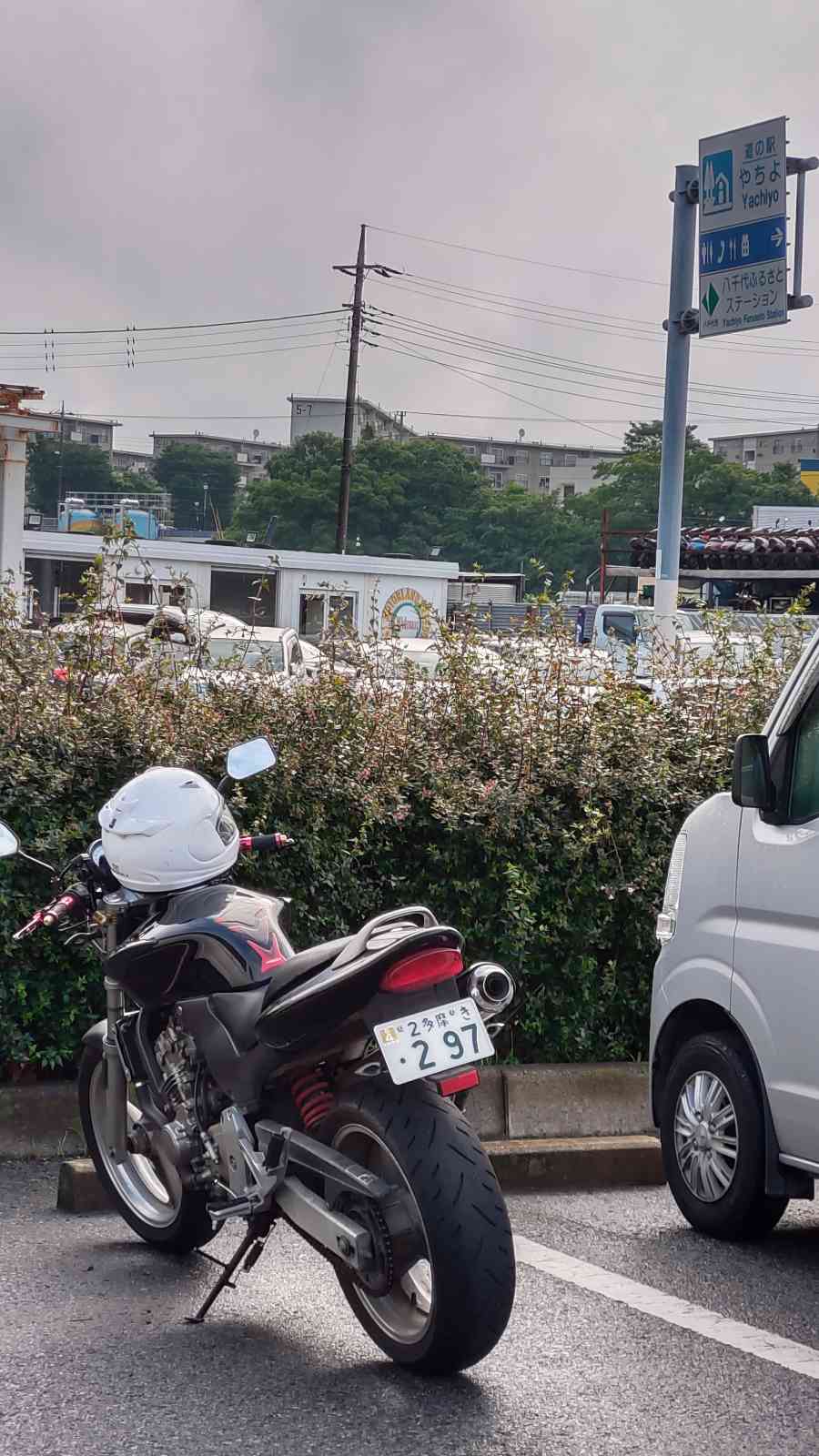 投稿された画像