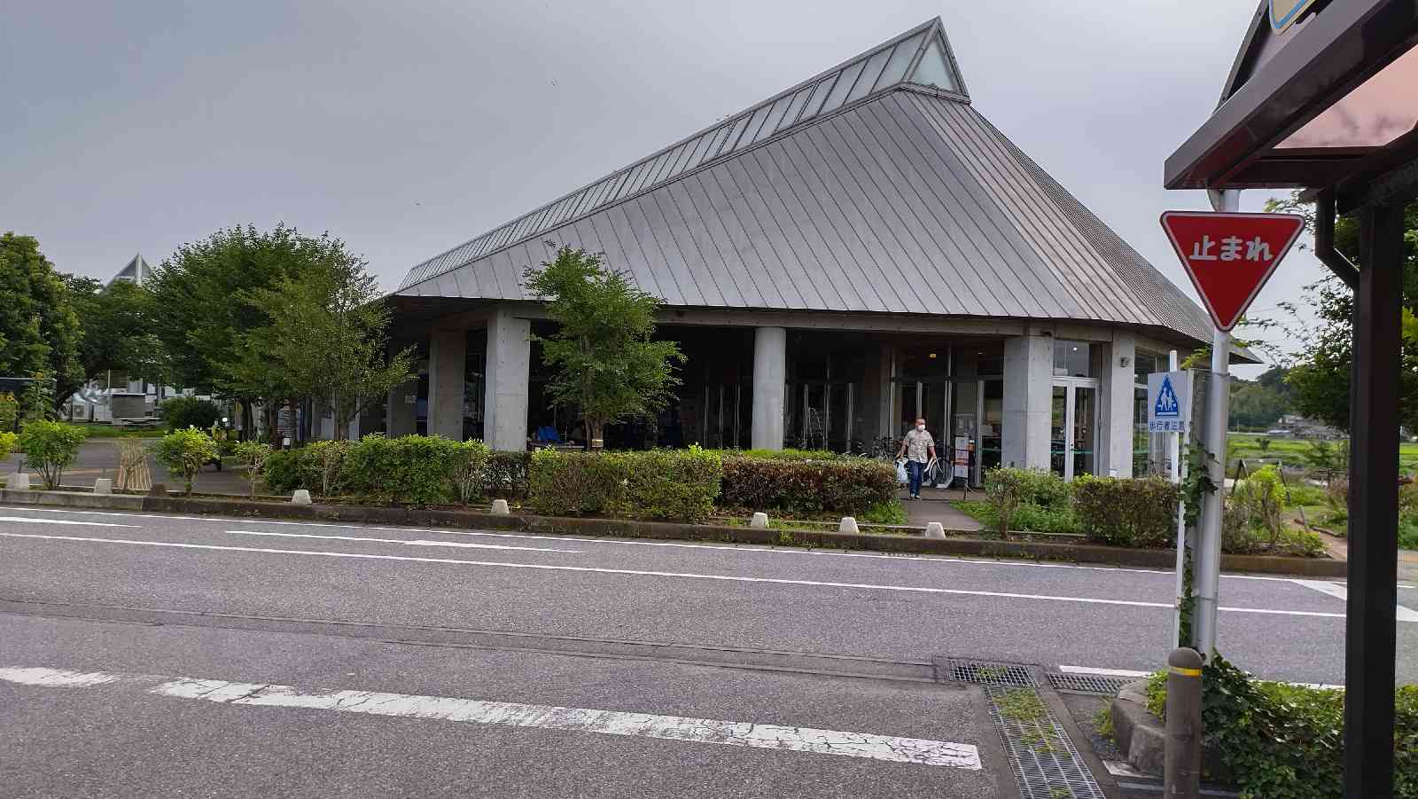 投稿された画像