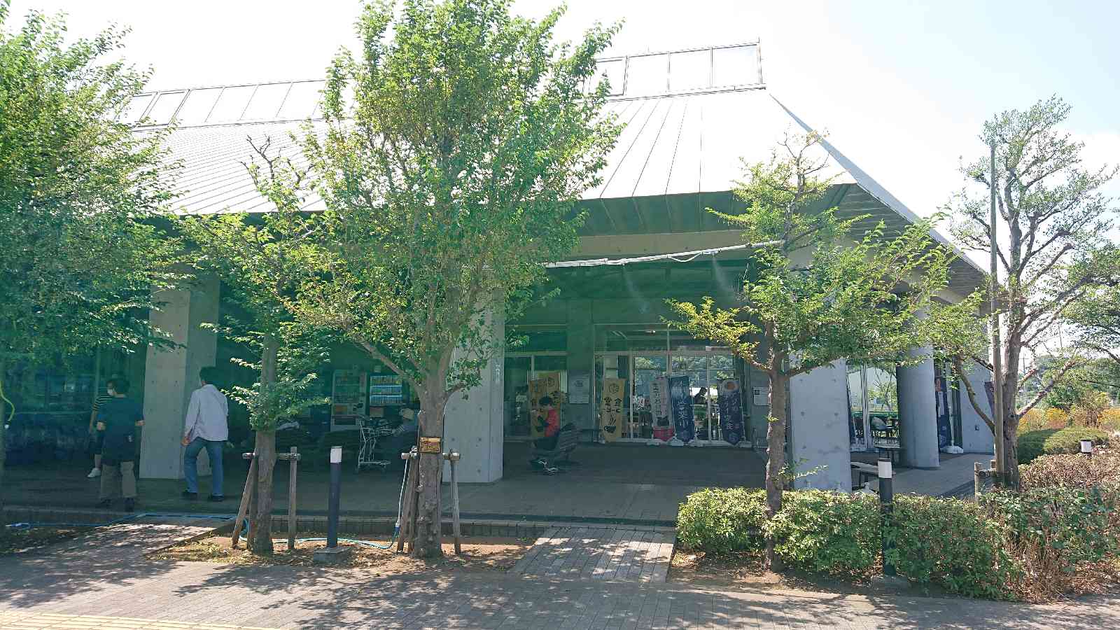 投稿された画像