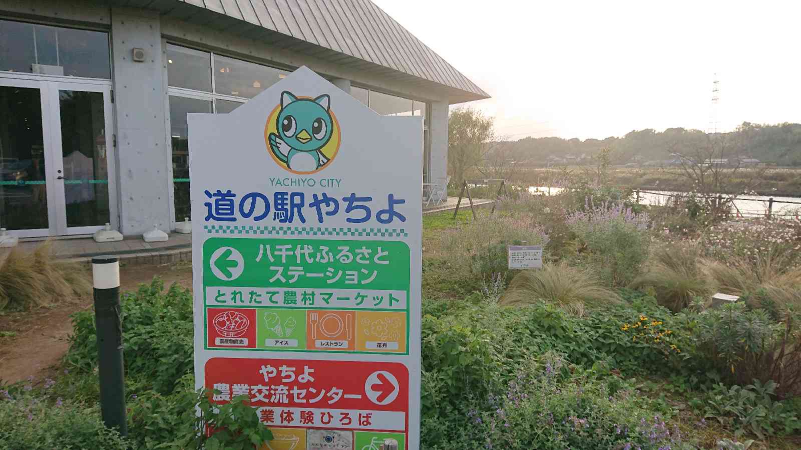 道の駅 やちよの写真