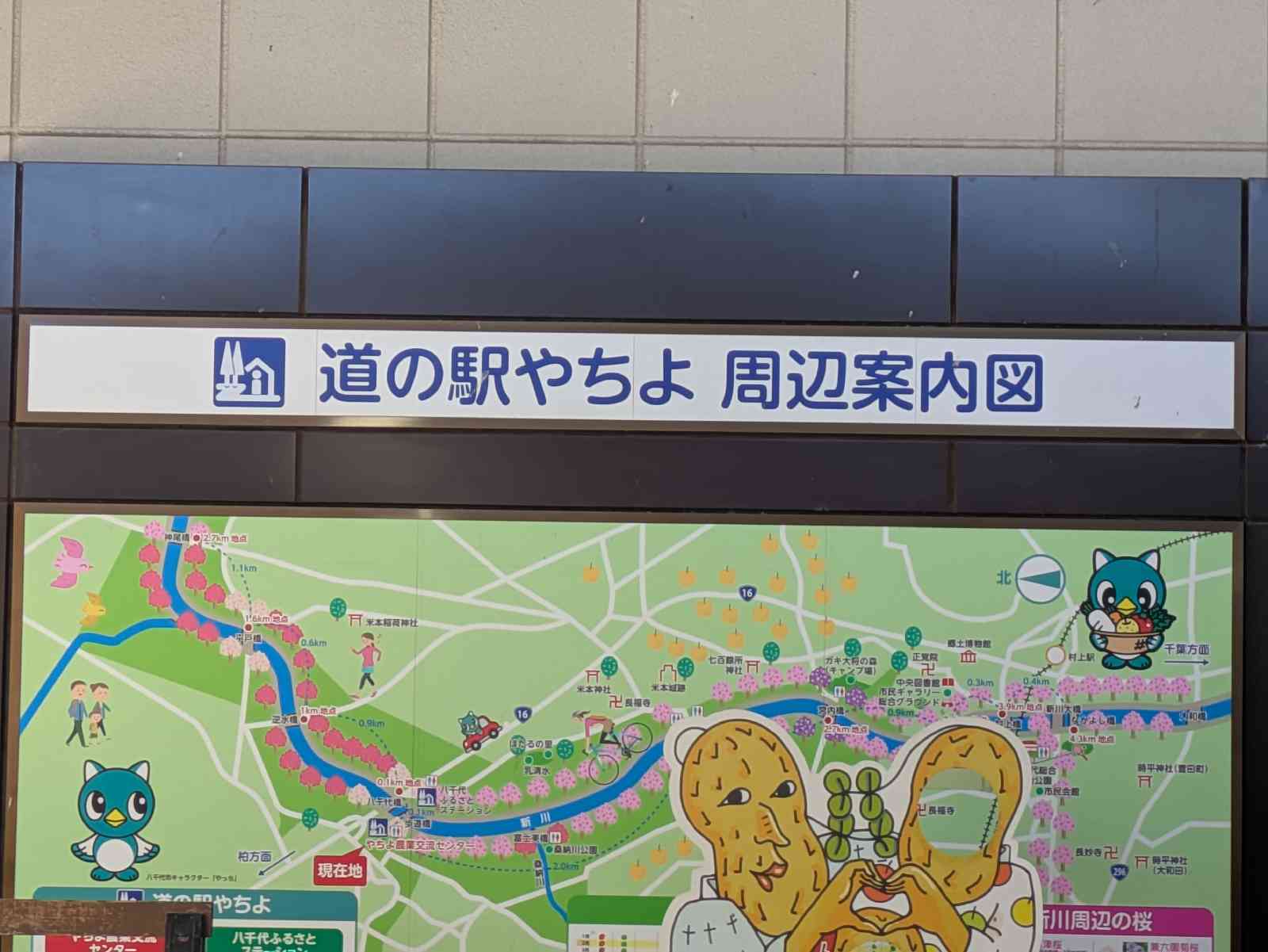 道の駅 やちよの写真