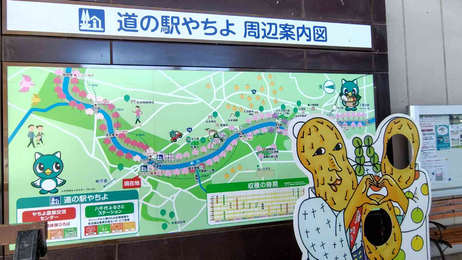 道の駅 やちよの写真