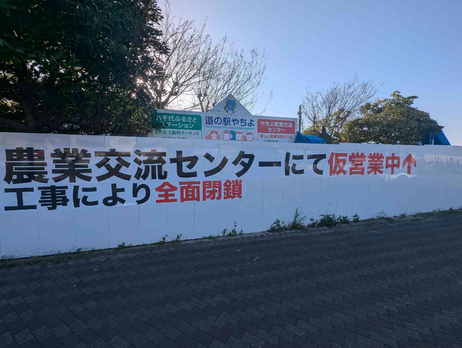 道の駅 やちよの写真