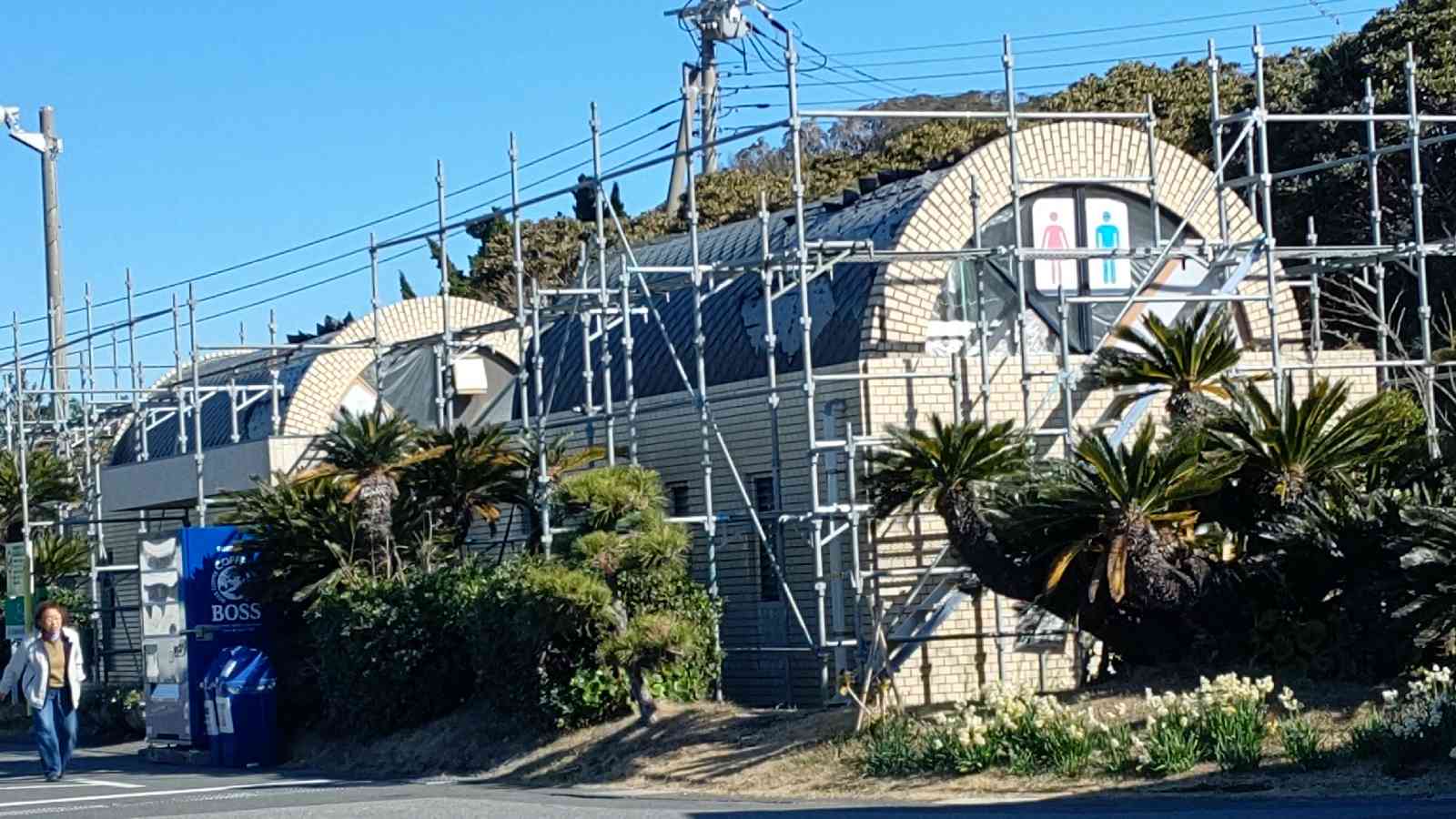 投稿された画像