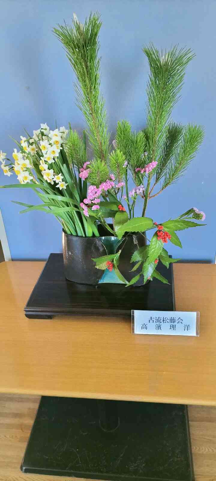 投稿された画像