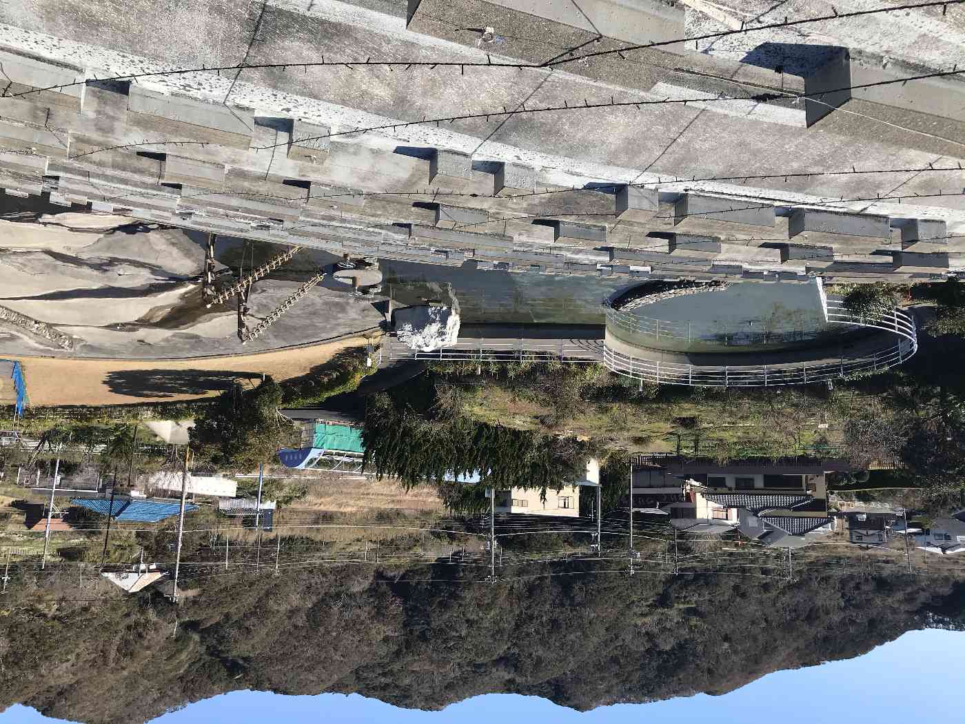 投稿された画像