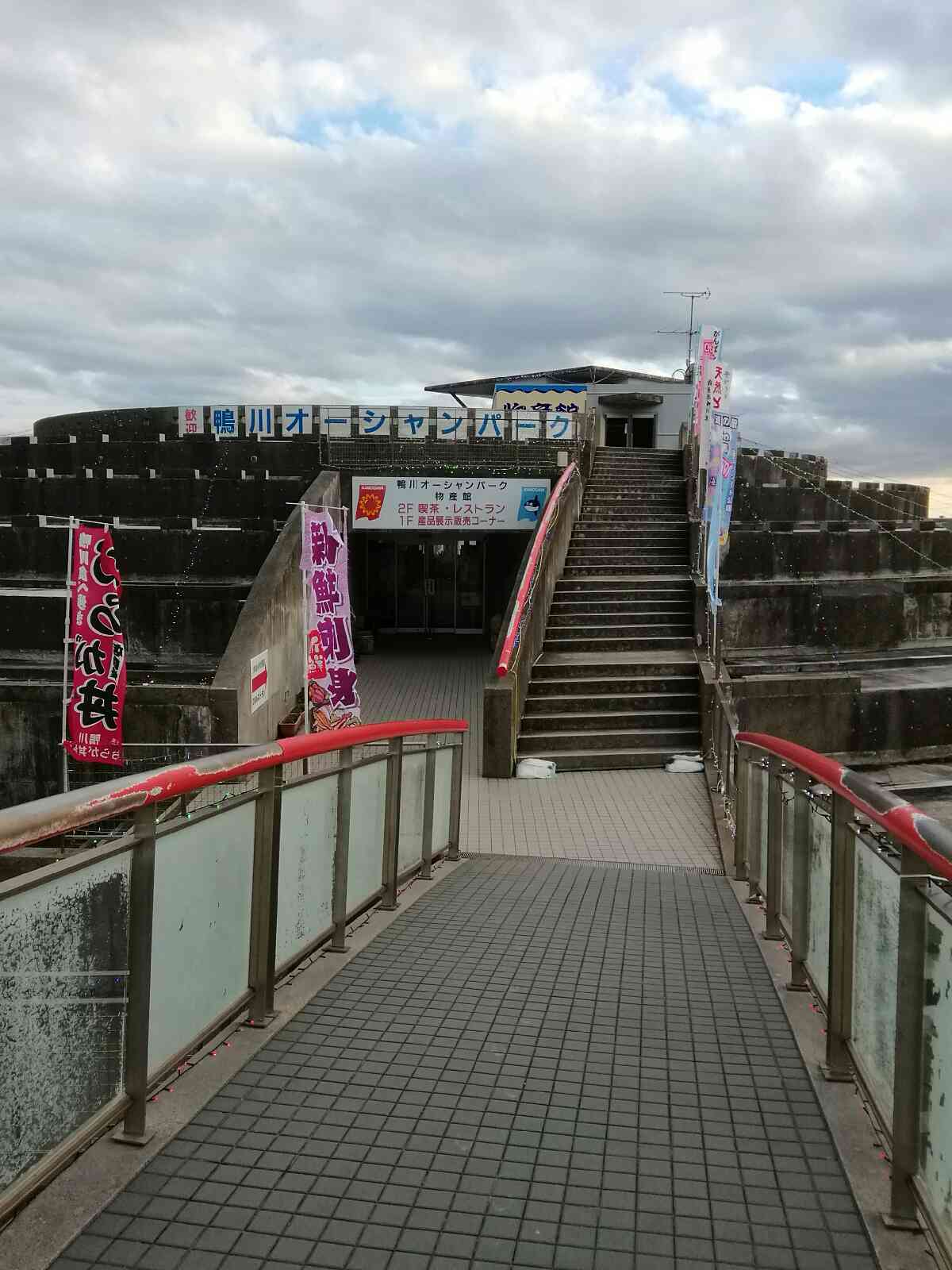 投稿された画像