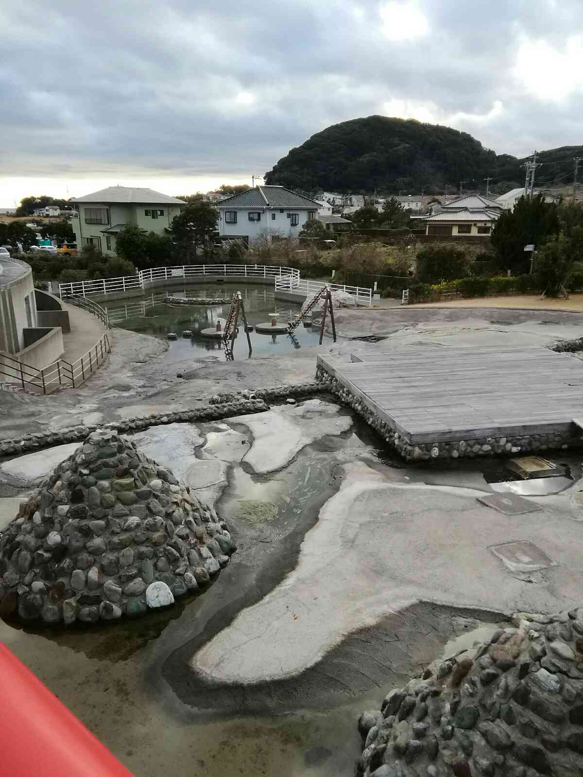 投稿された画像