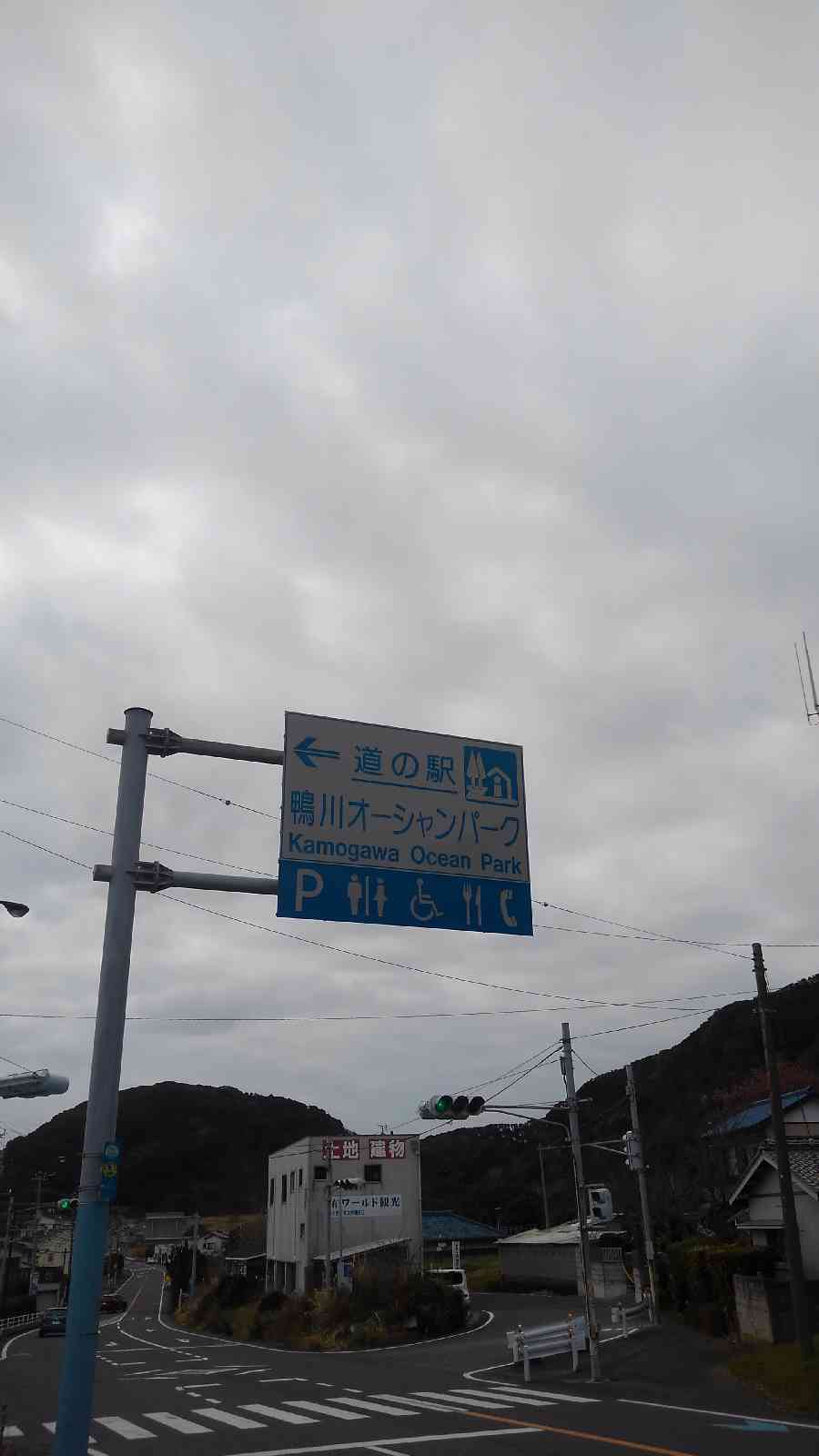 投稿された画像