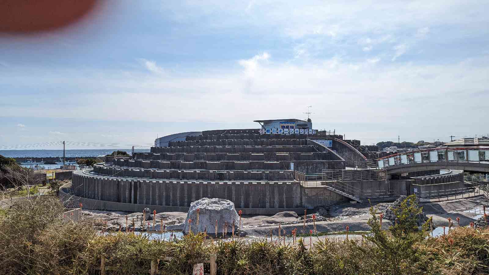 投稿された画像