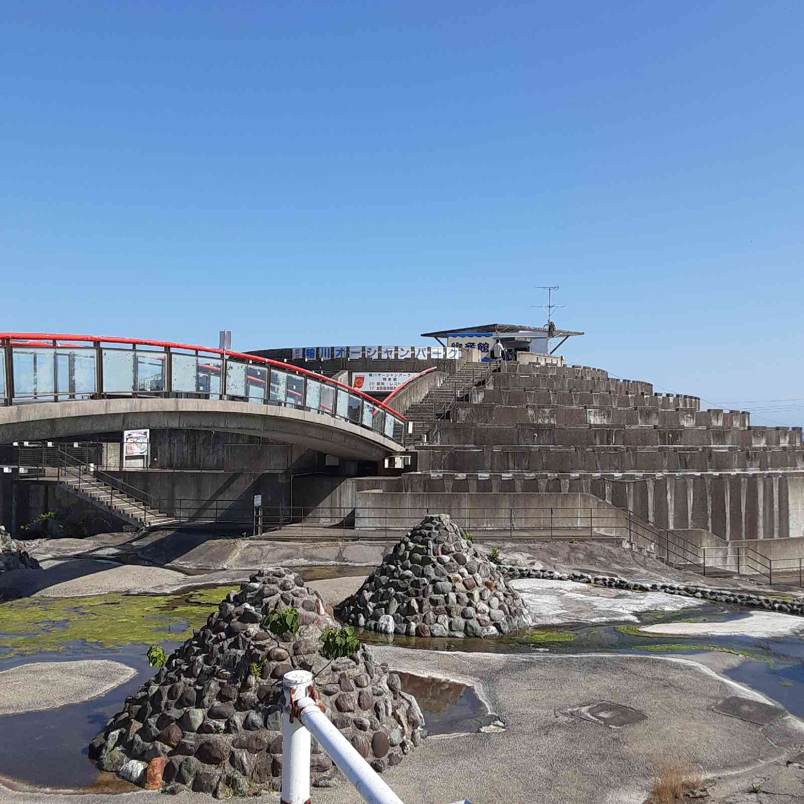 投稿された画像