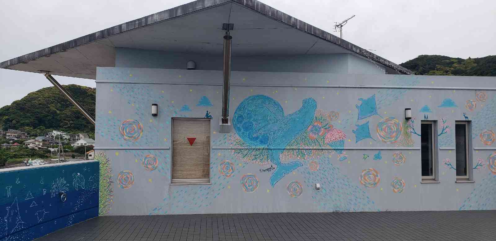 投稿された画像