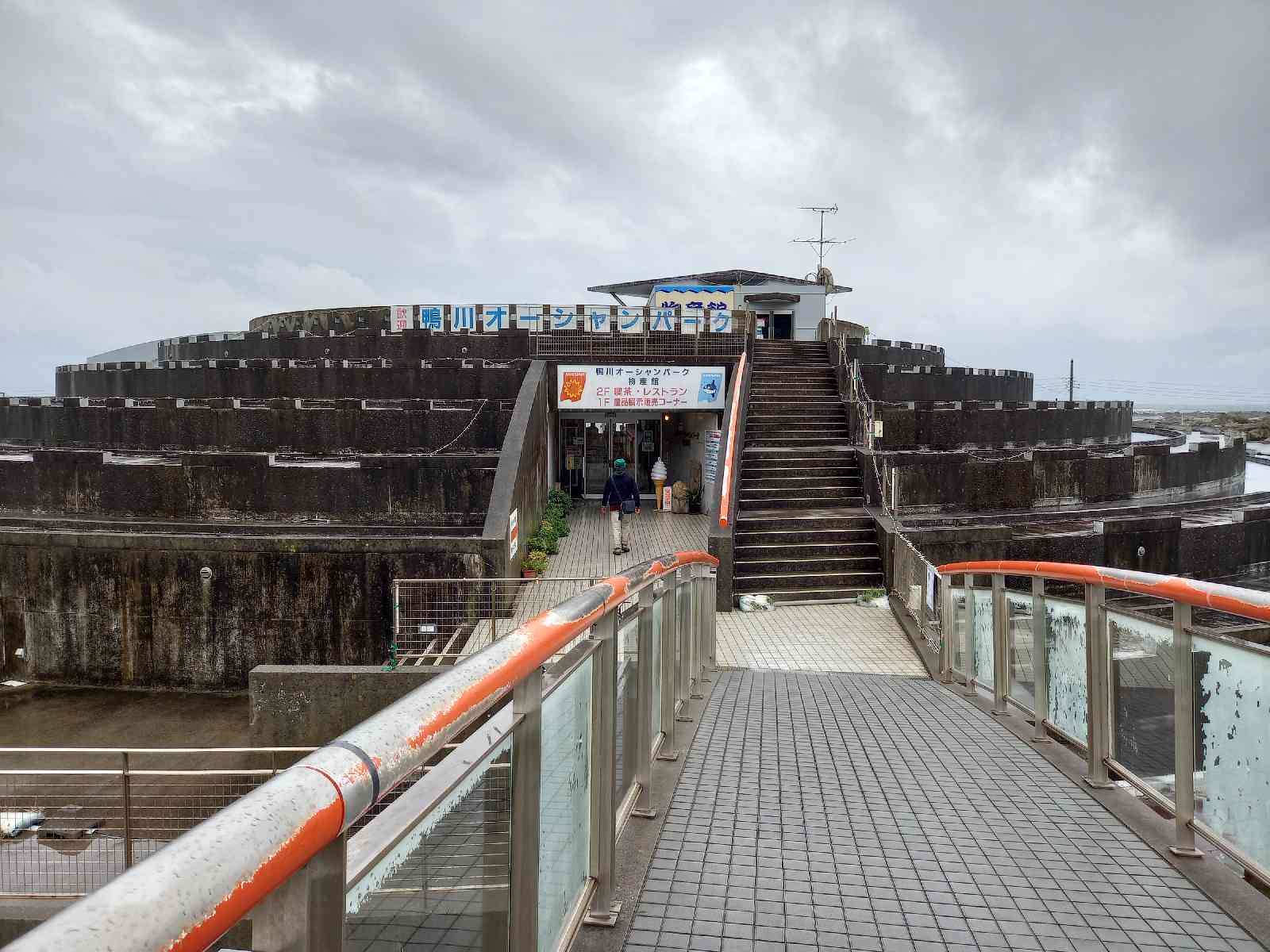 投稿された画像