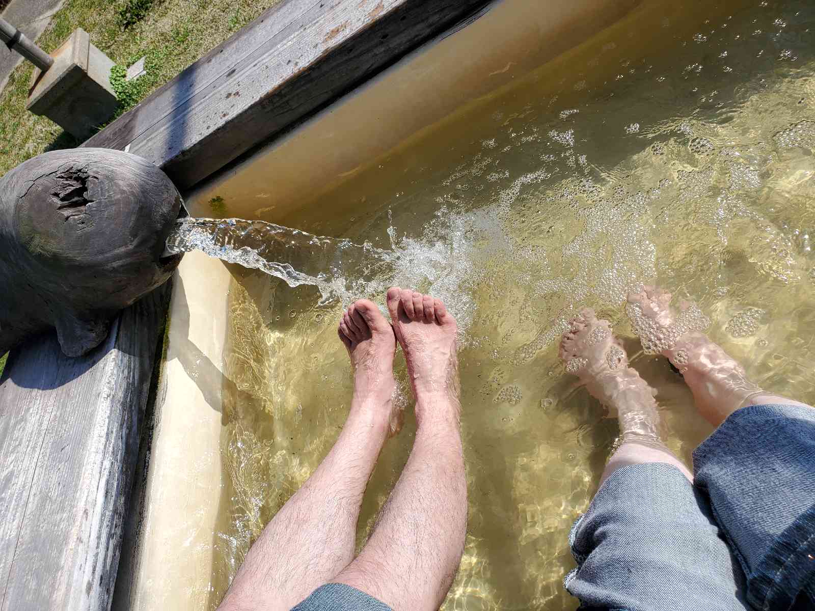 投稿された画像