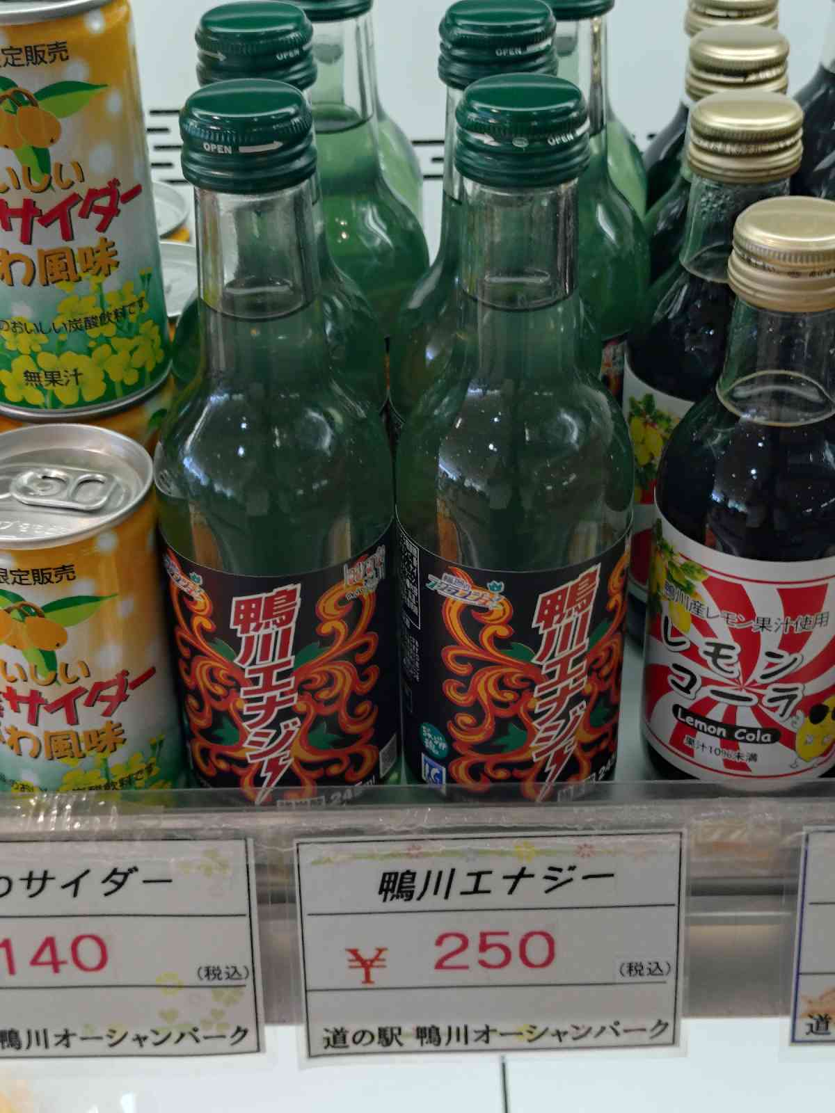 道の駅 鴨川オーシャンパークの写真