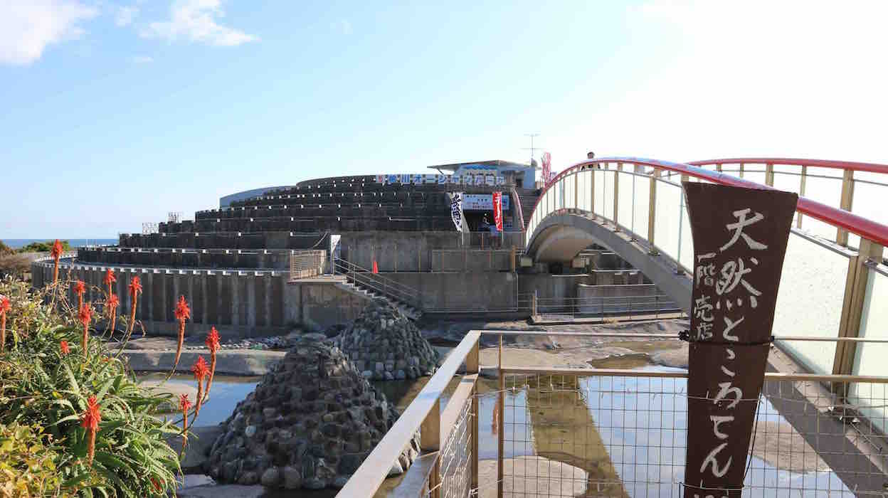 投稿された画像