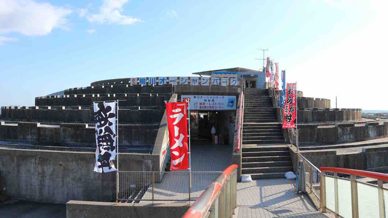 投稿された画像