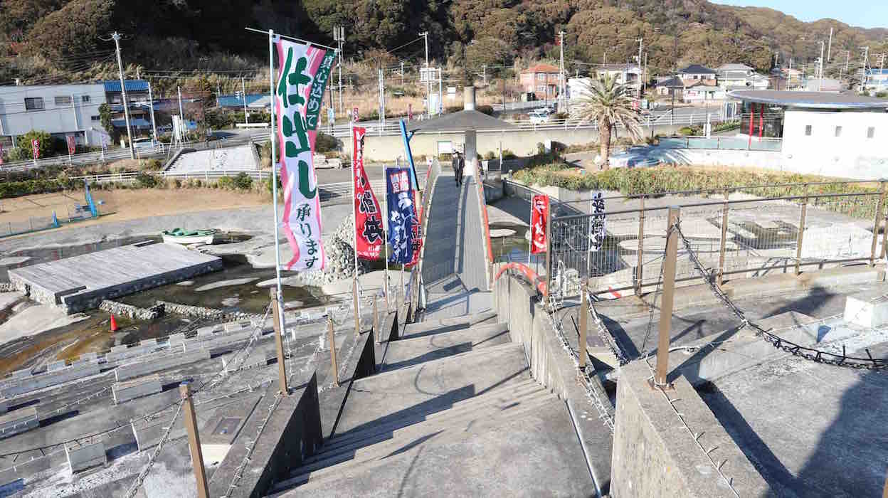 投稿された画像