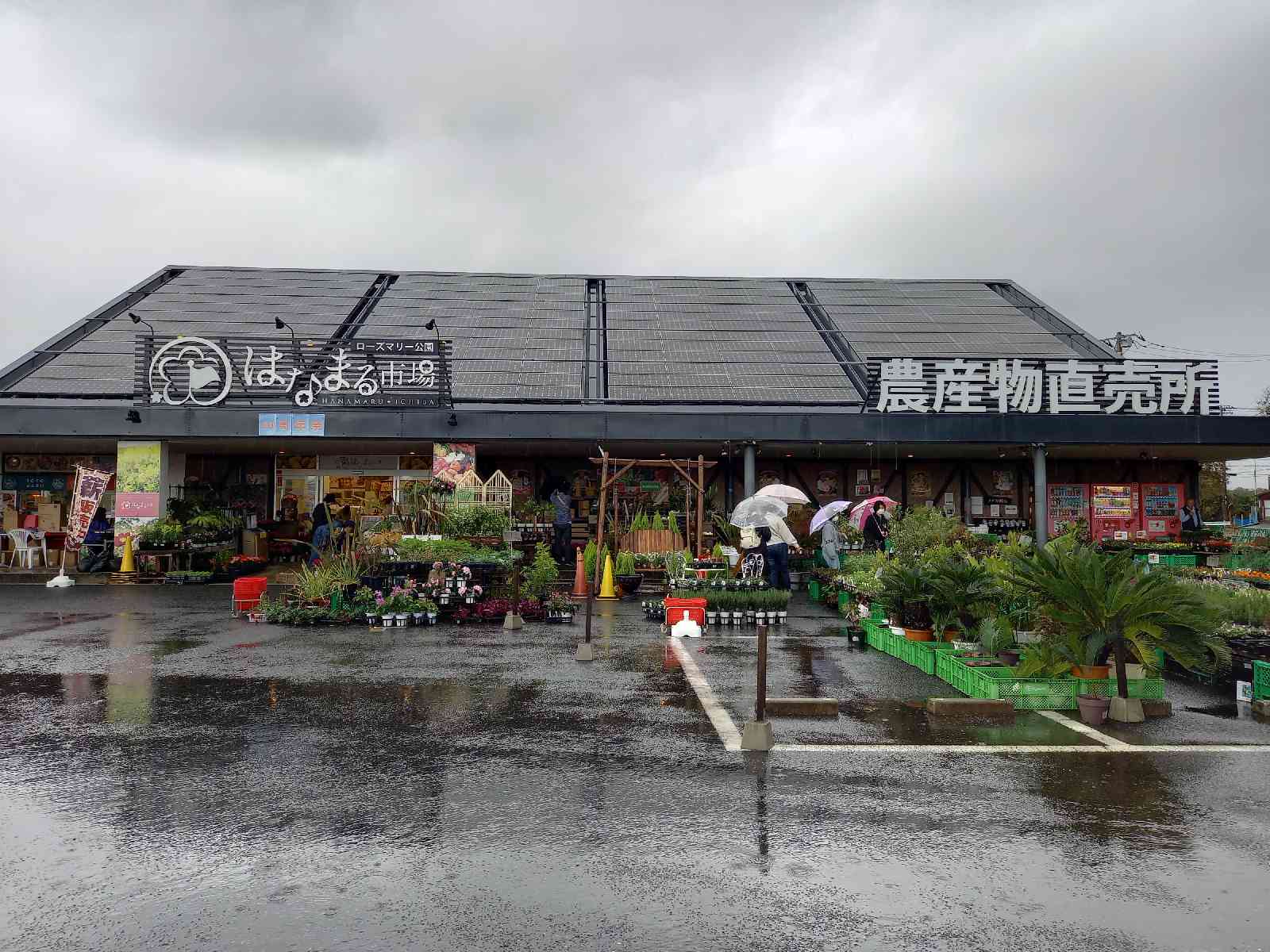 投稿された画像