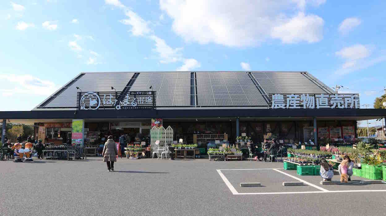 投稿された画像