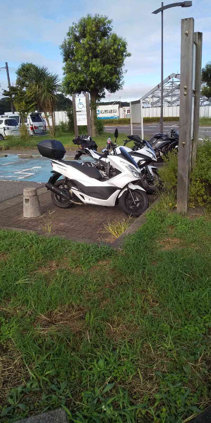 投稿された画像