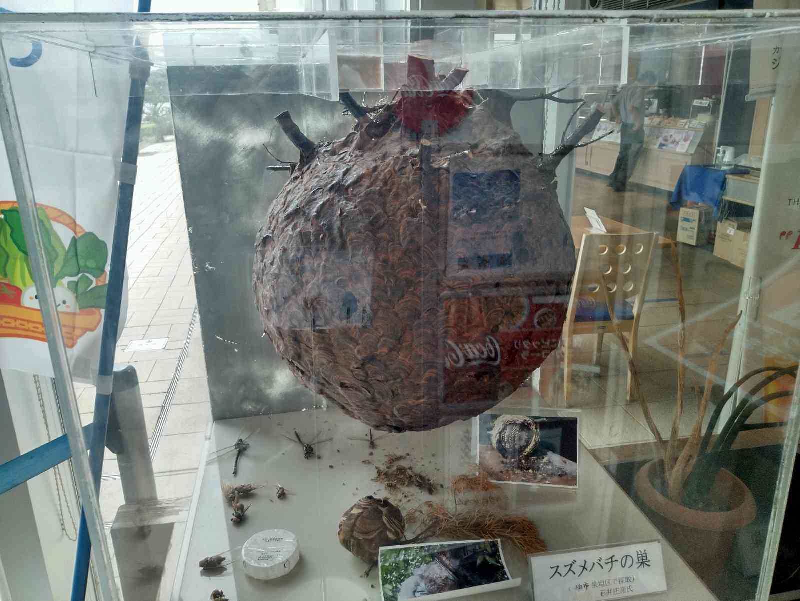 投稿された画像