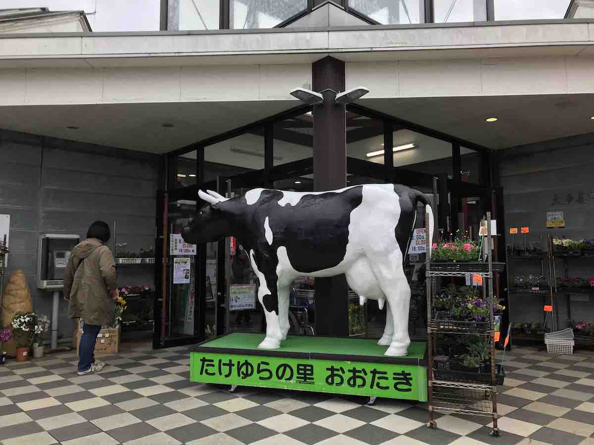 投稿された画像
