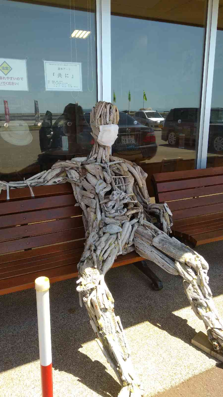投稿された画像