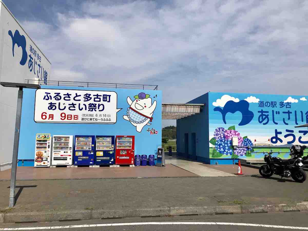 投稿された画像