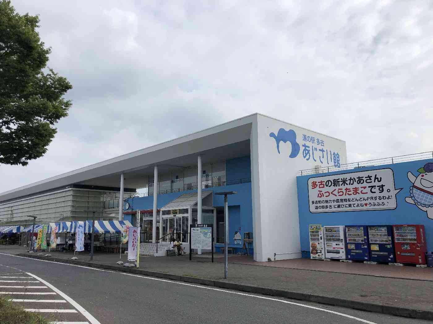 投稿された画像