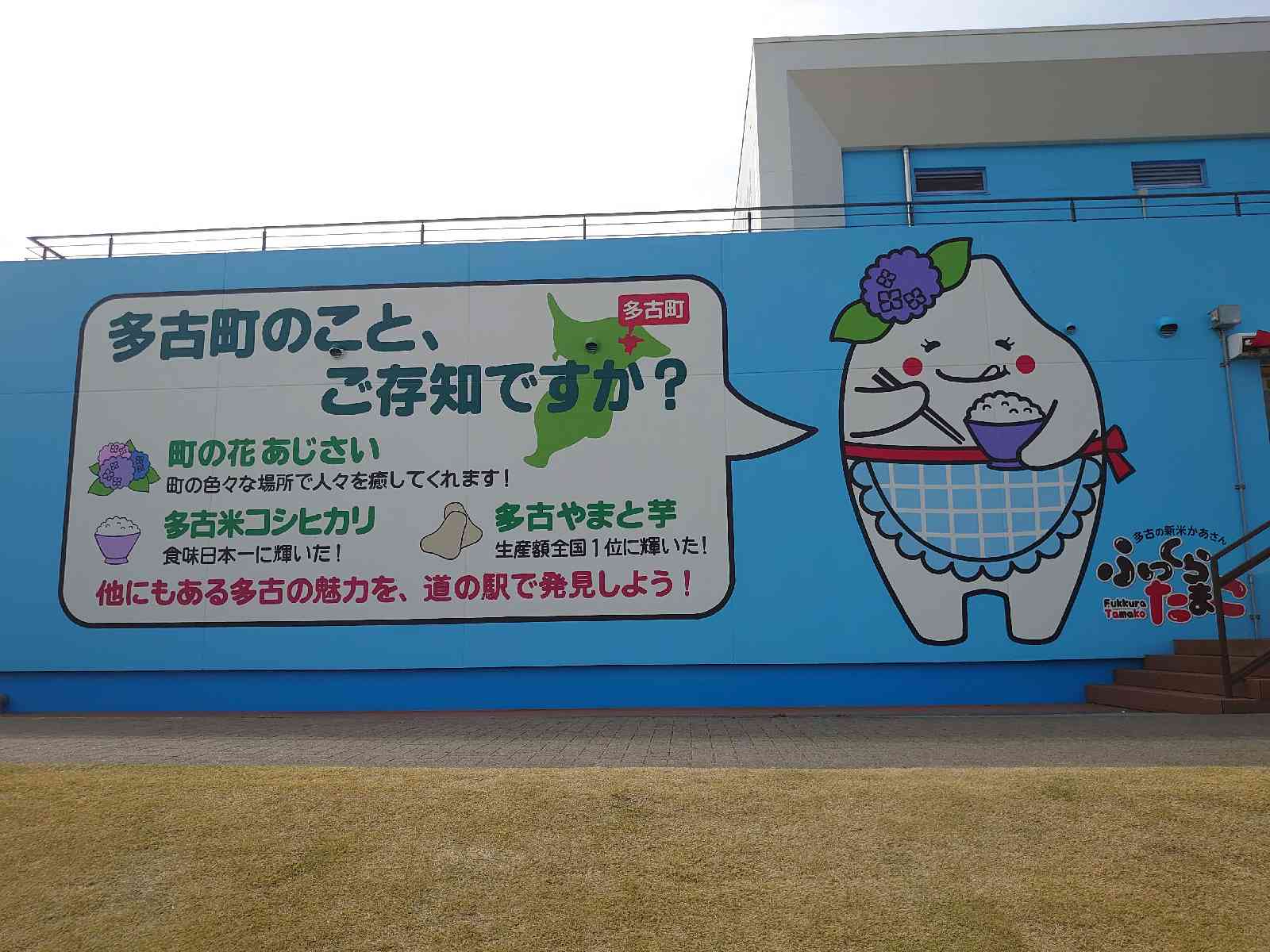 投稿された画像