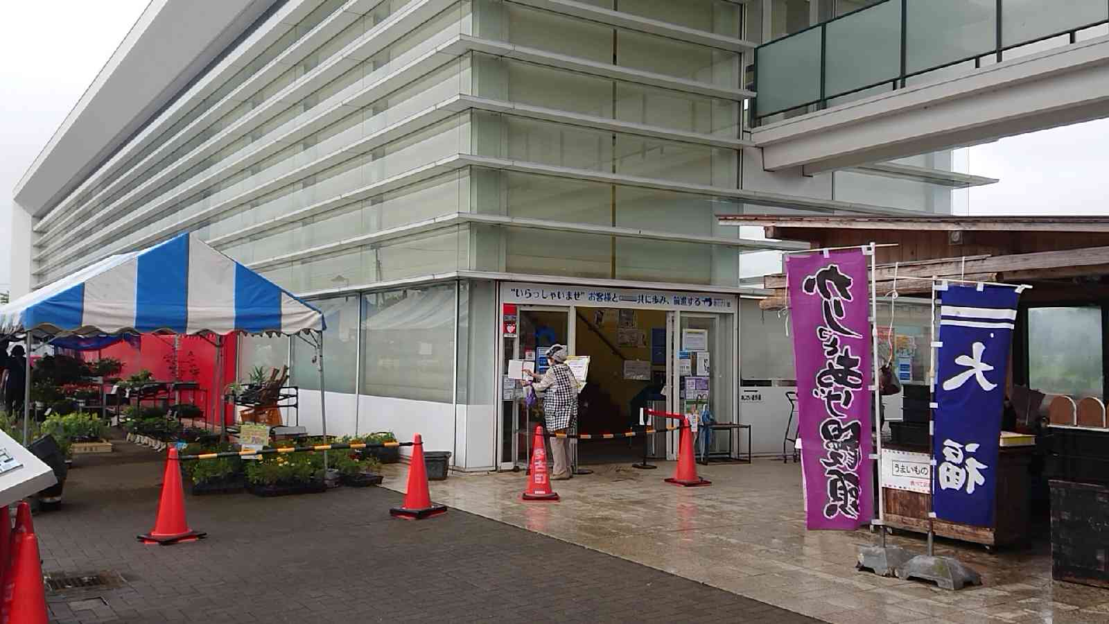 投稿された画像