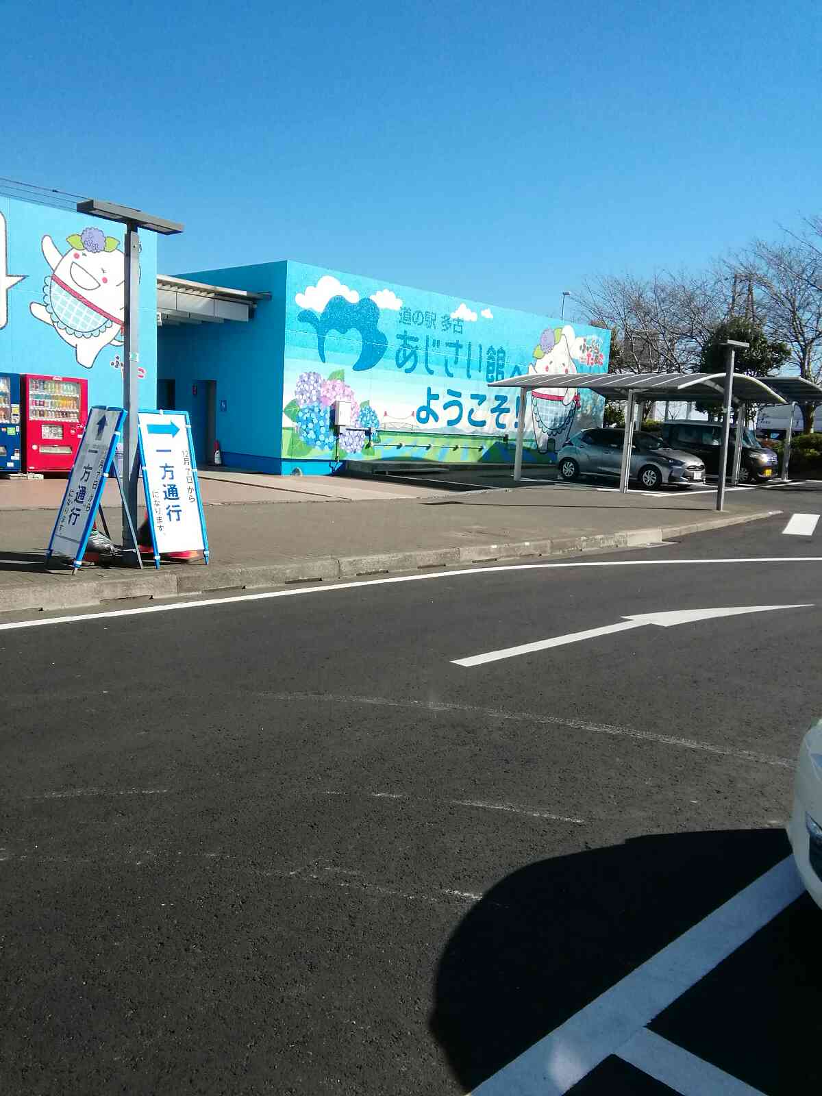 投稿された画像