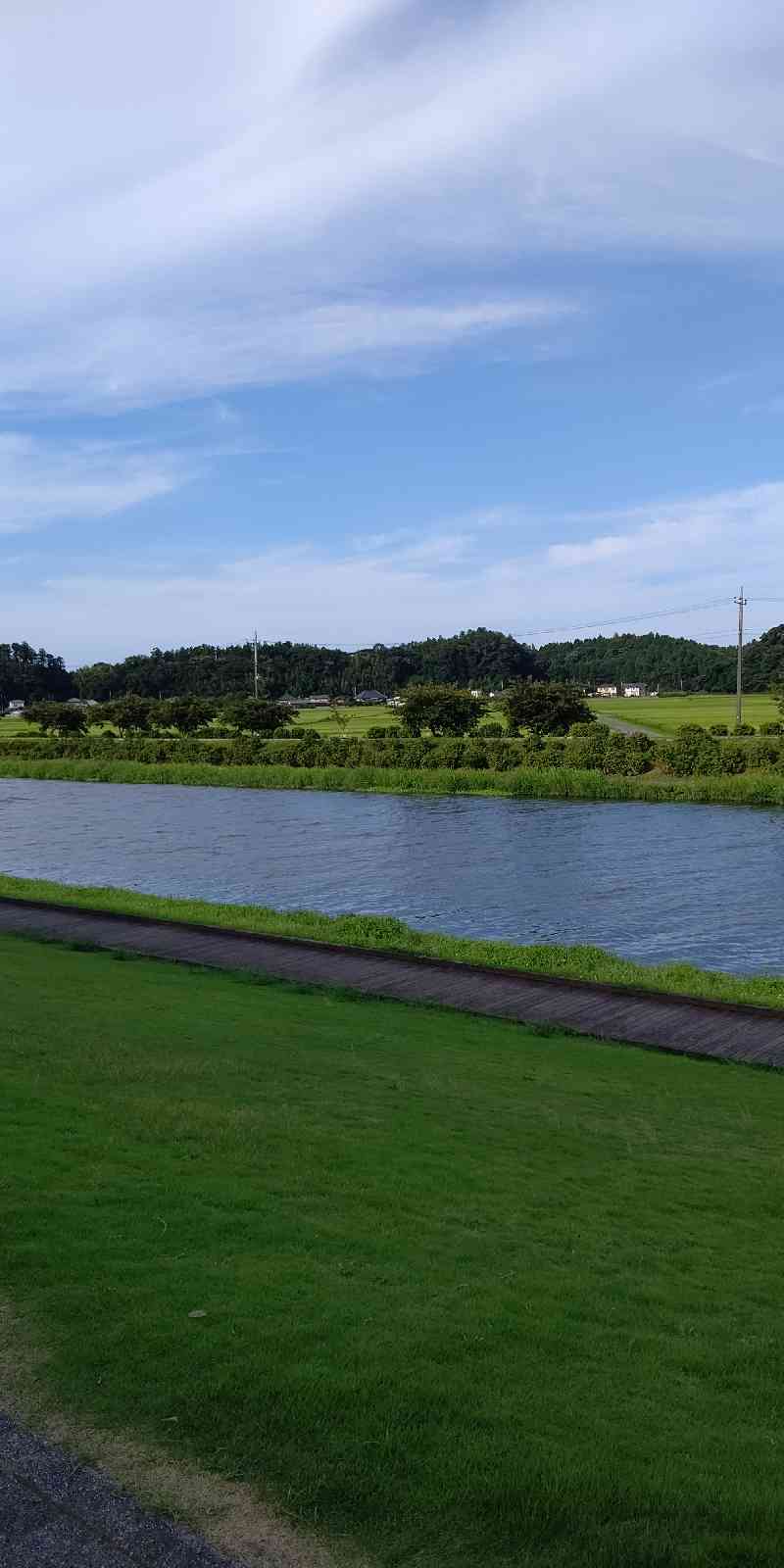 投稿された画像