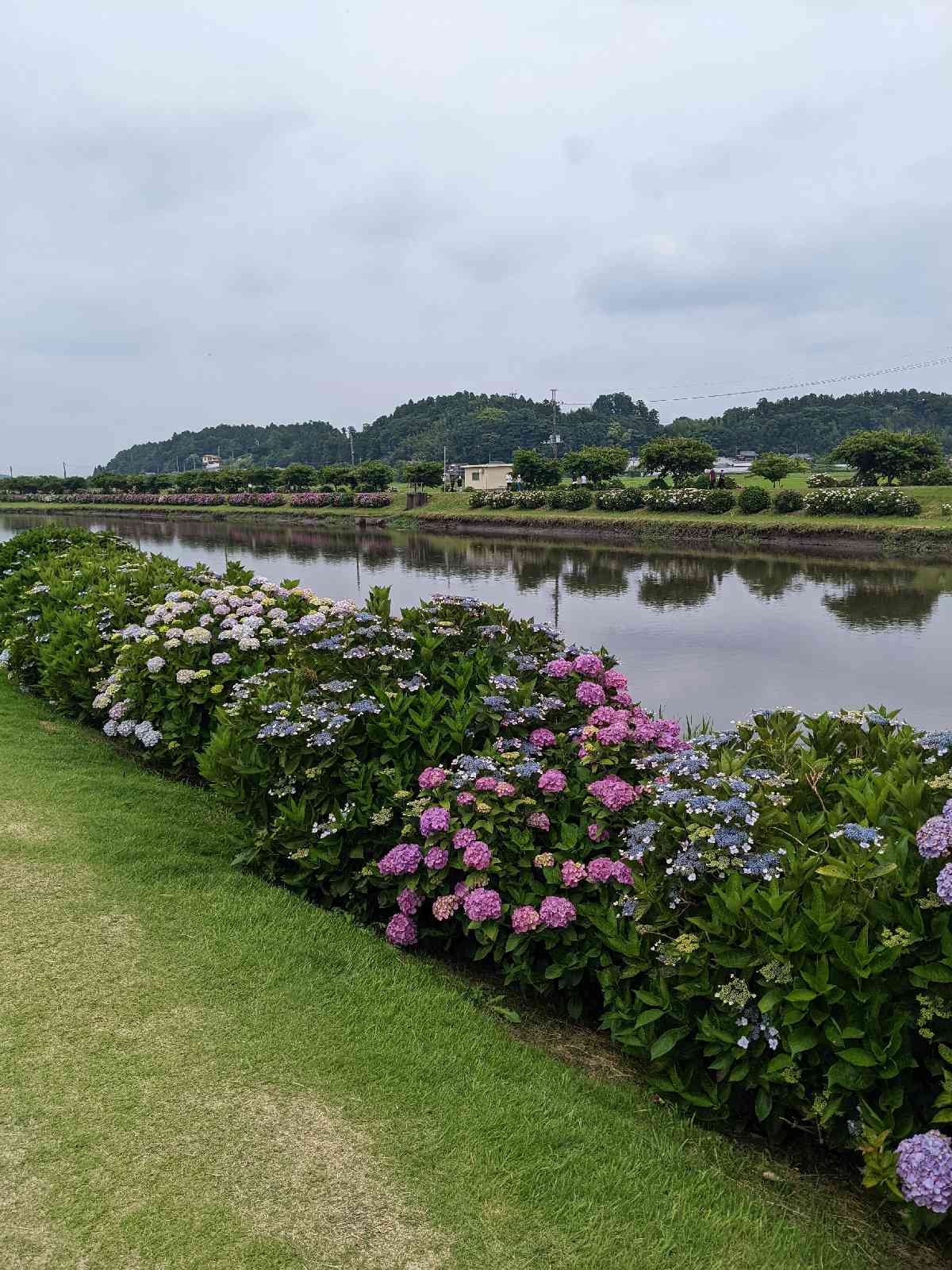 投稿された画像