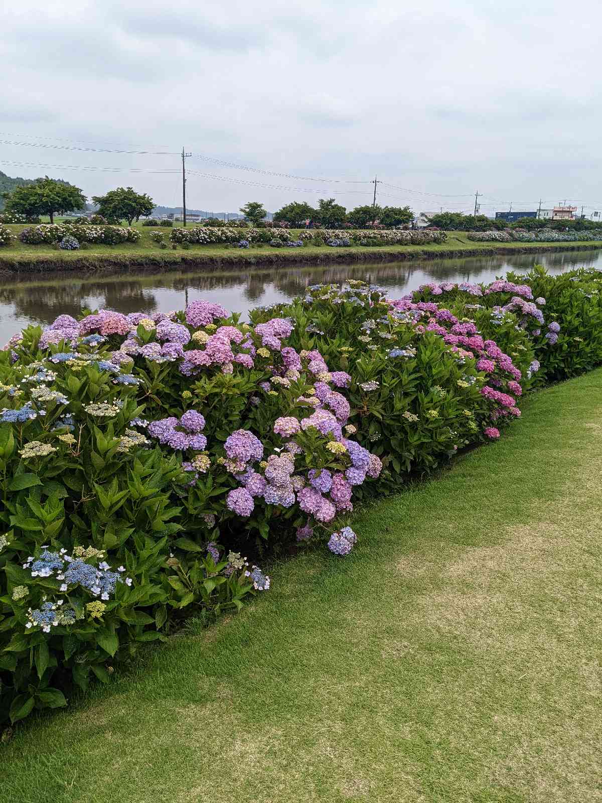 投稿された画像