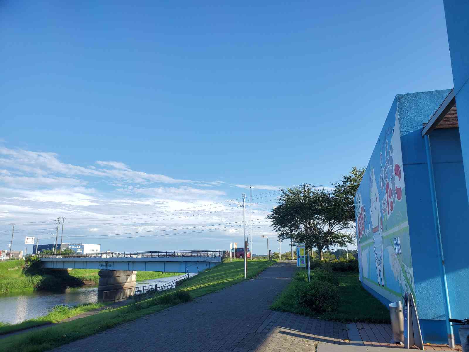 投稿された画像