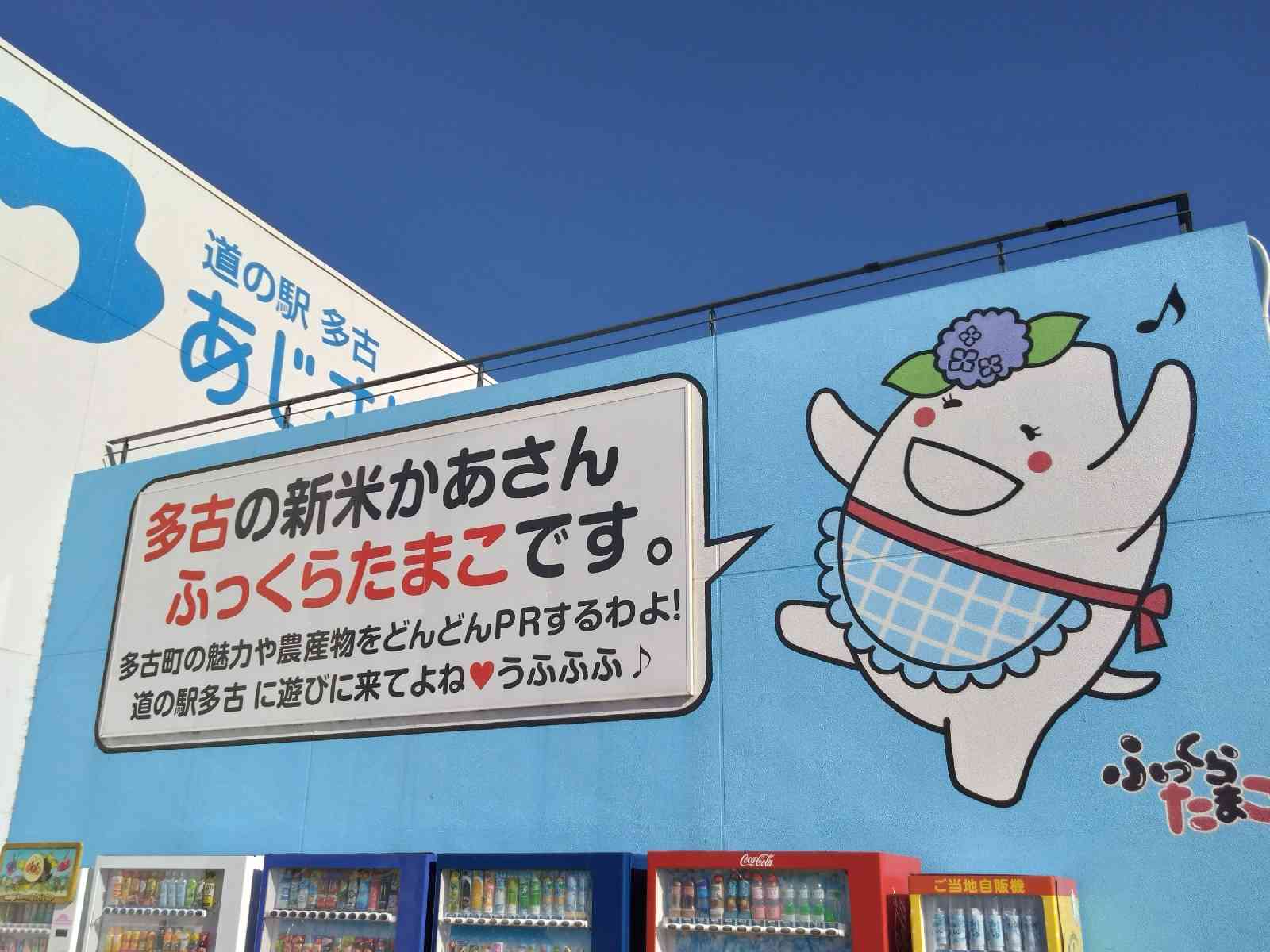 投稿された画像