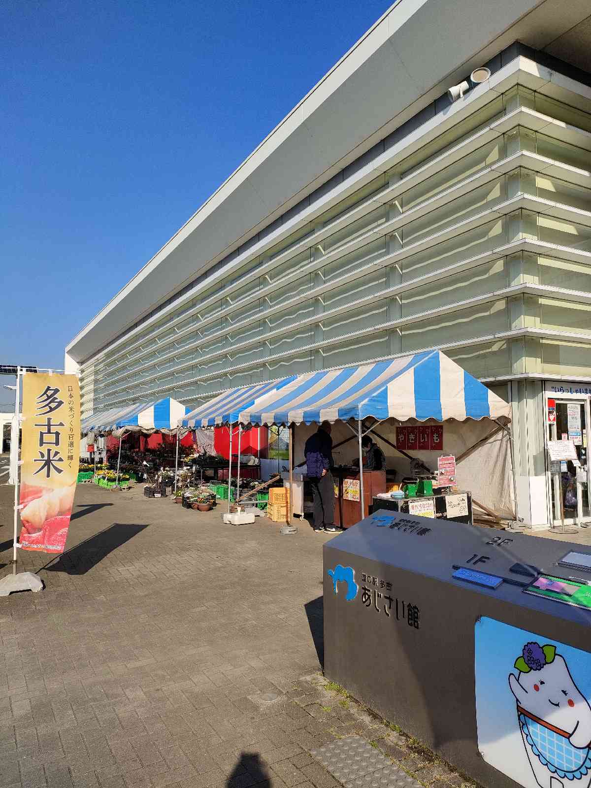 投稿された画像