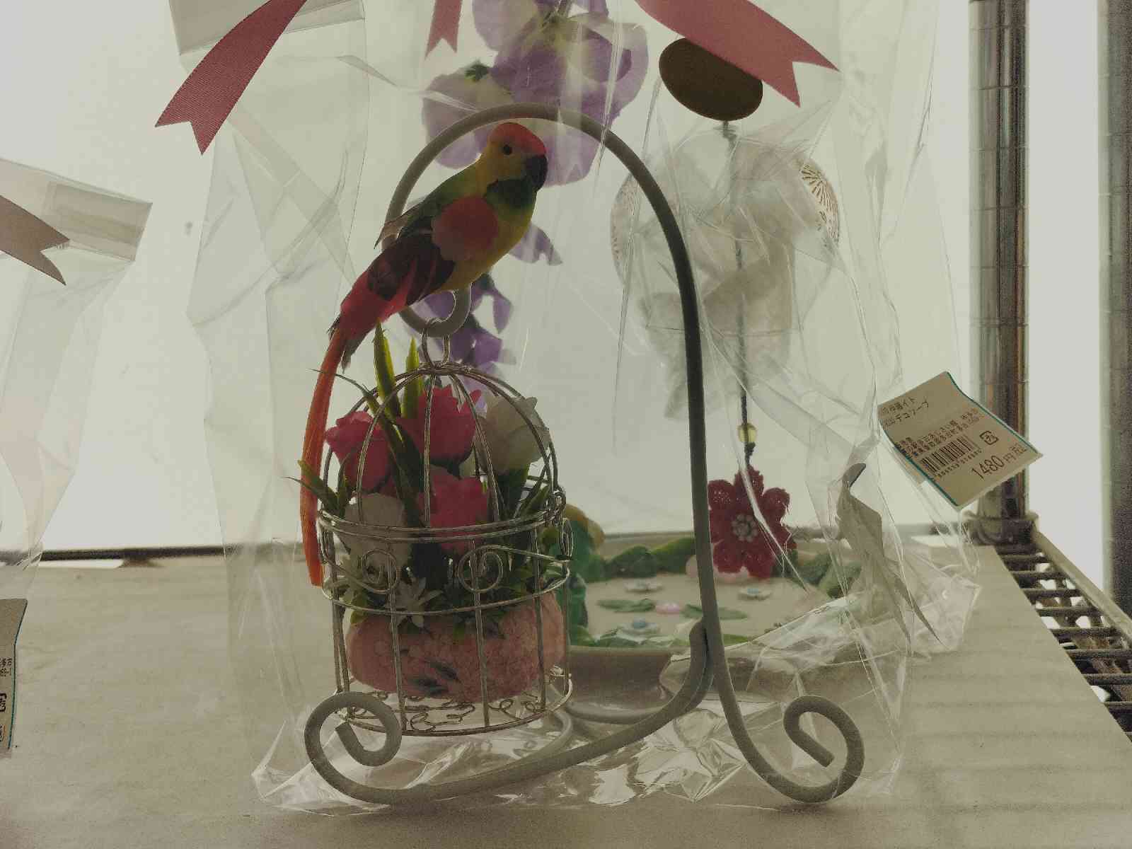 投稿された画像