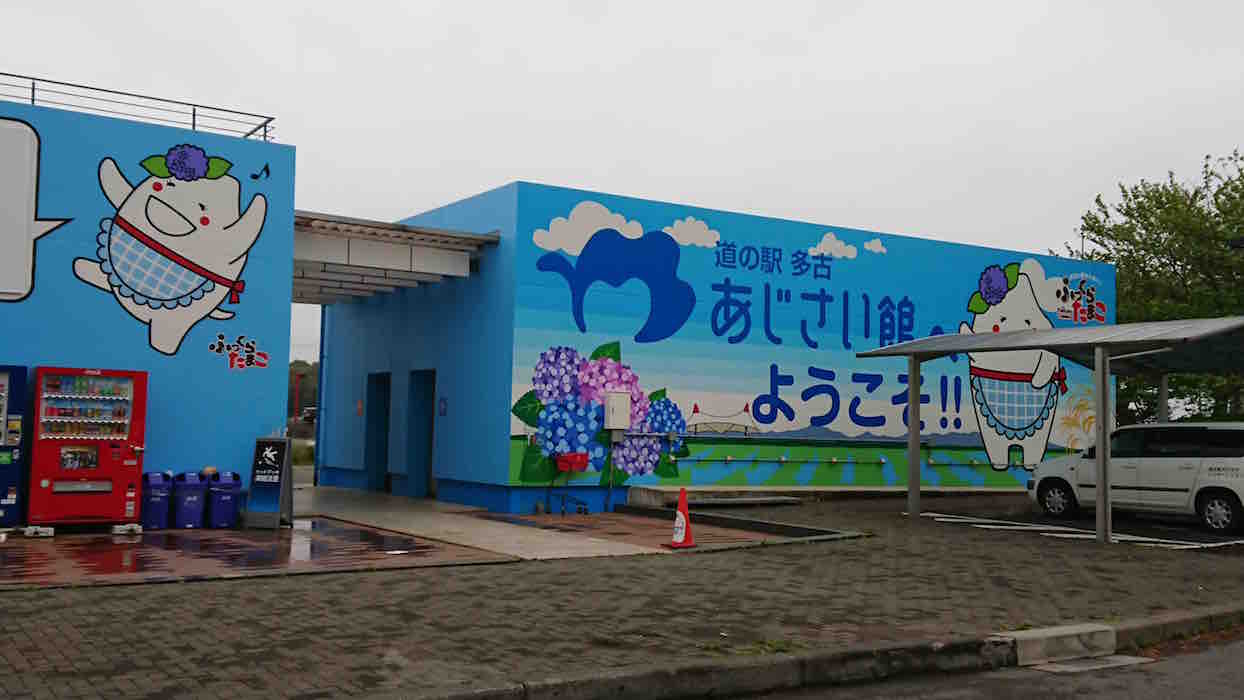 投稿された画像