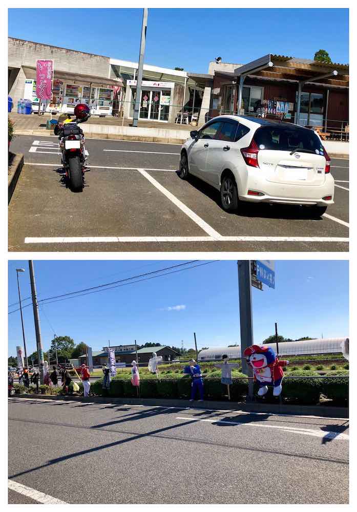 投稿された画像