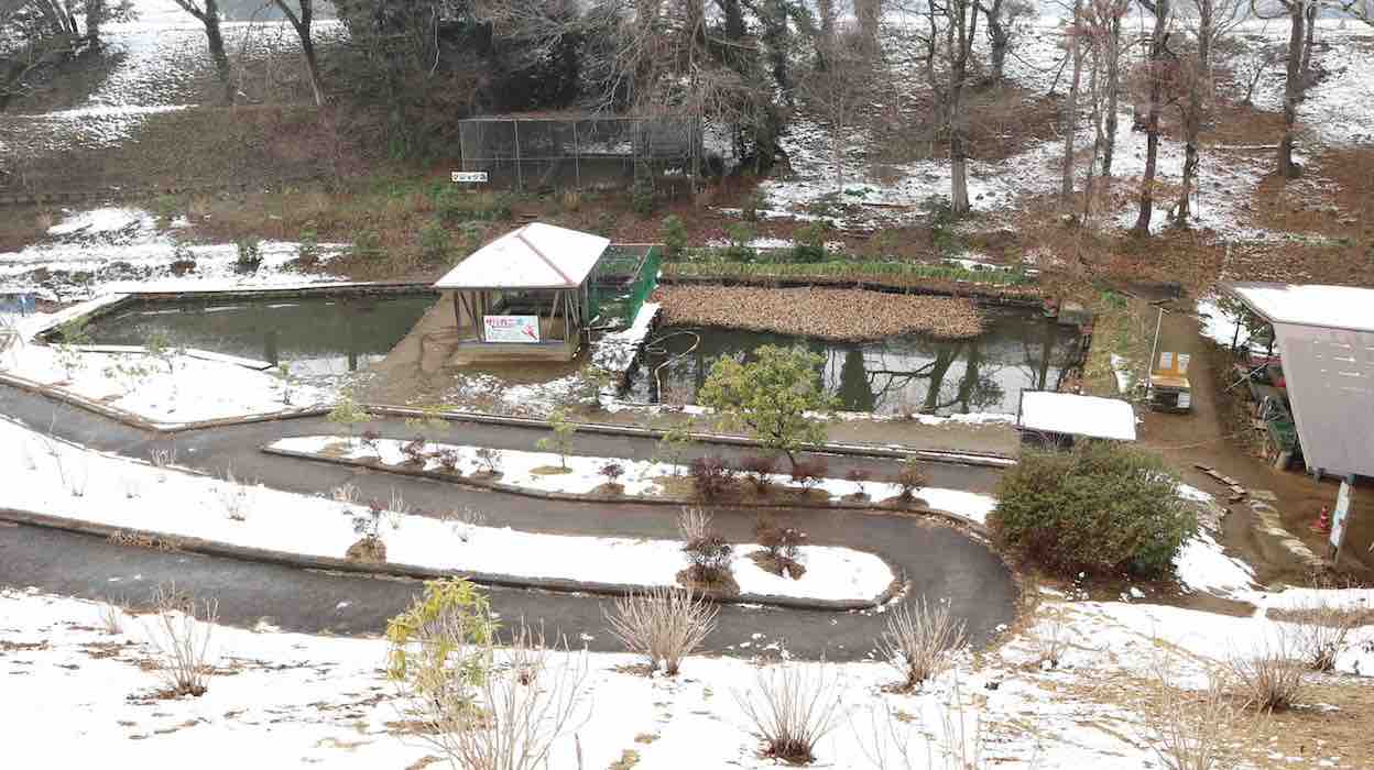 投稿された画像