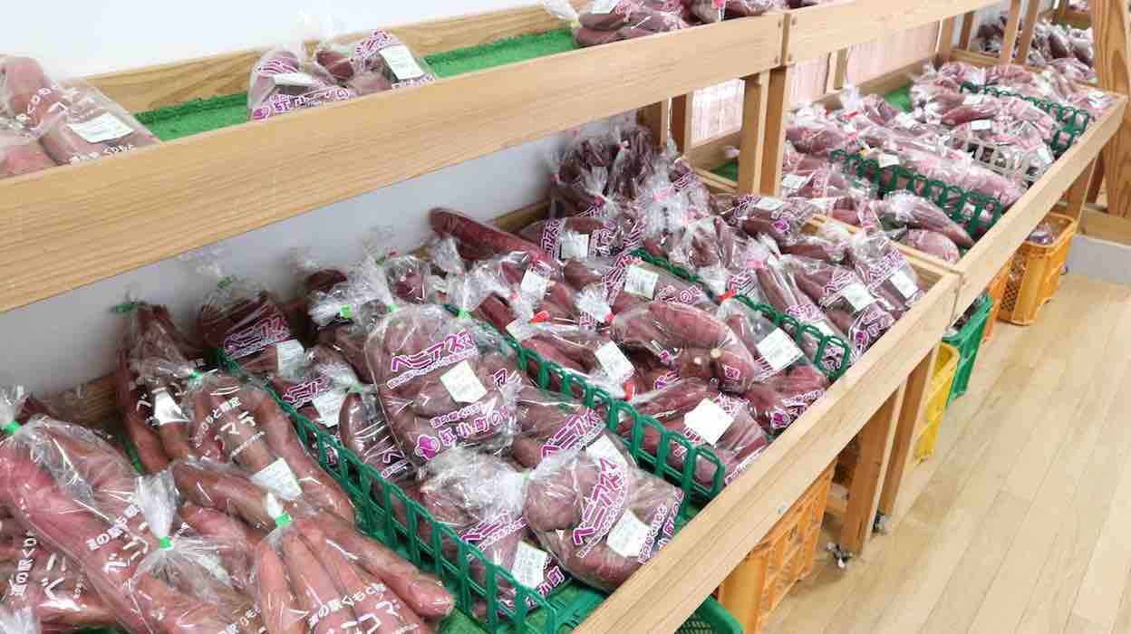 投稿された画像