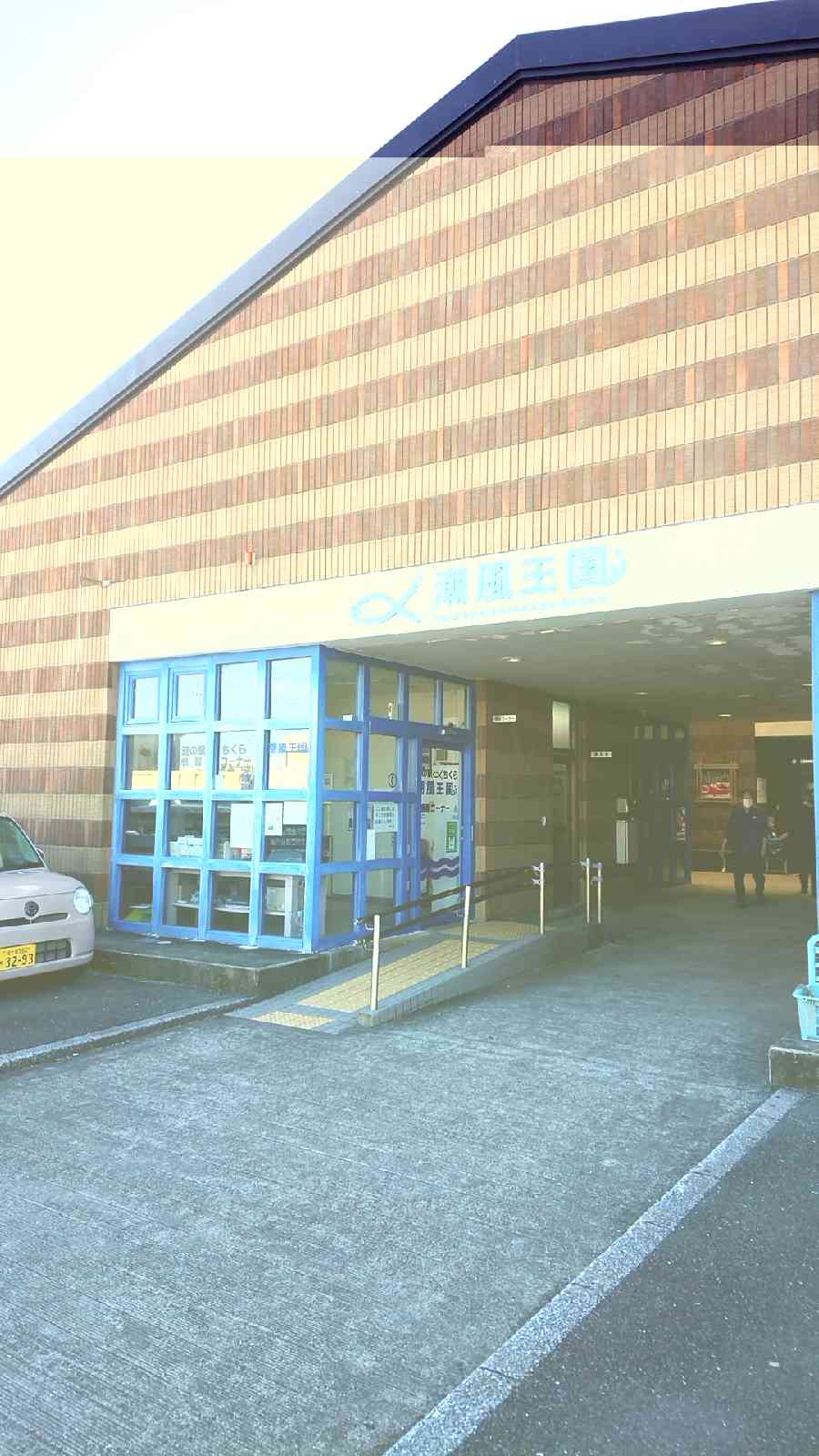 投稿された画像