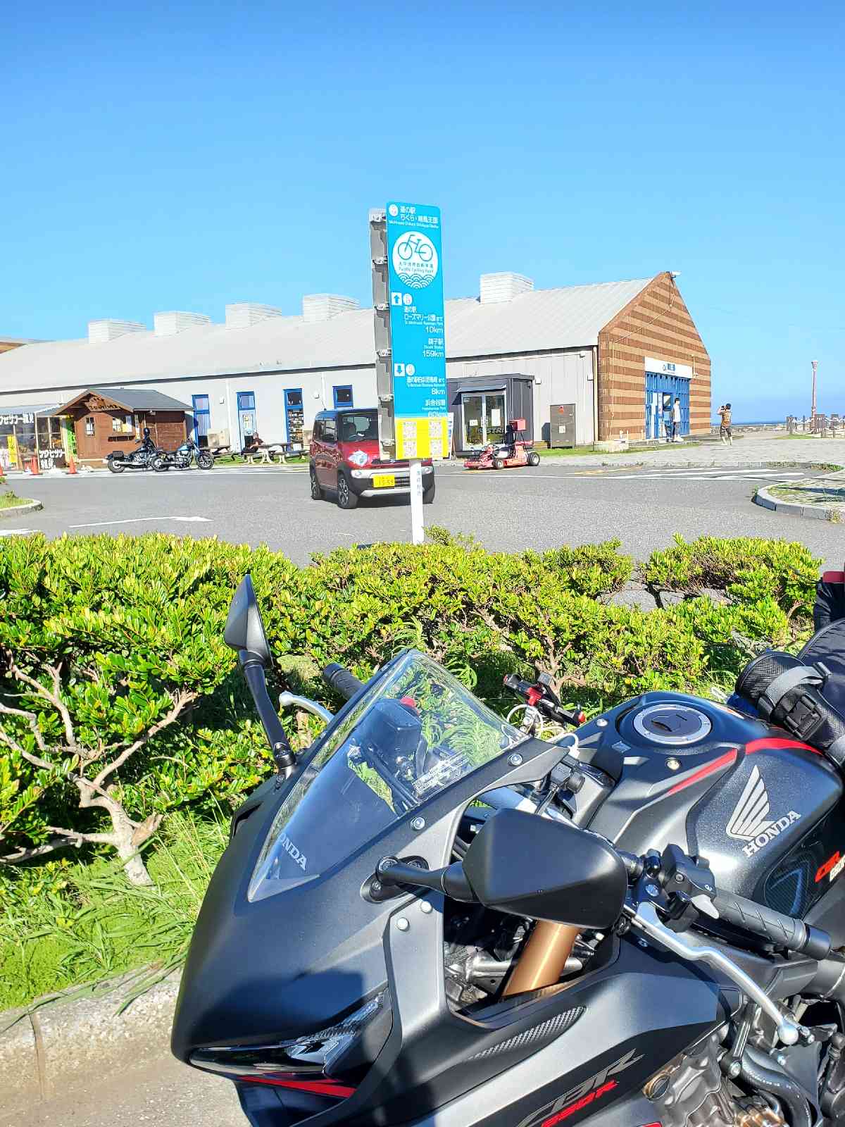 投稿された画像